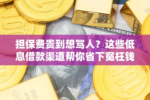 济南担保费贵到想骂人？这些低息借款渠道帮你省下冤枉钱